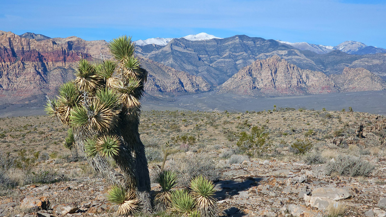 View of the Spring Mountains from Blue Diamond Hill (Las Vegas) Nevada