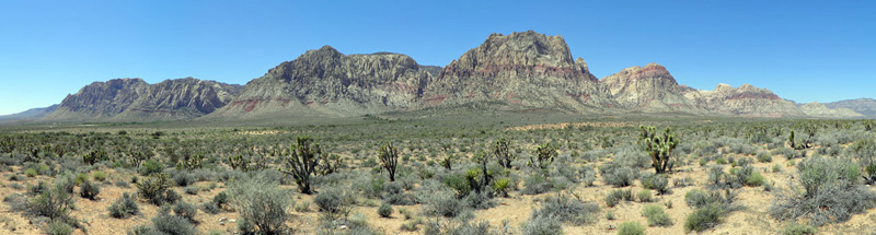 Red Rock Canyon and Joshua Trees